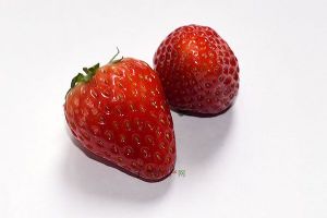  天下民宿 特产 之 江东草莓 